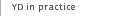 ydinpractice